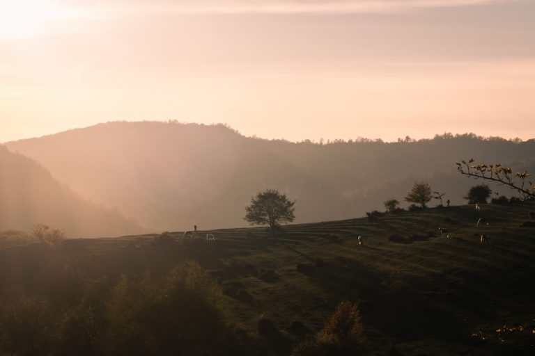 Luxury vs. Affordable: Tailoring Your Outdoor Travel Experience