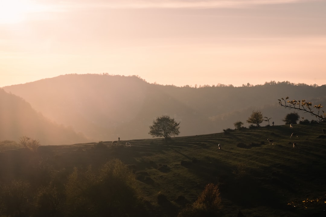 Luxury vs. Affordable: Tailoring Your Outdoor Travel Experience Luxury vs. Affordable: Tailoring Your Outdoor Travel Experience